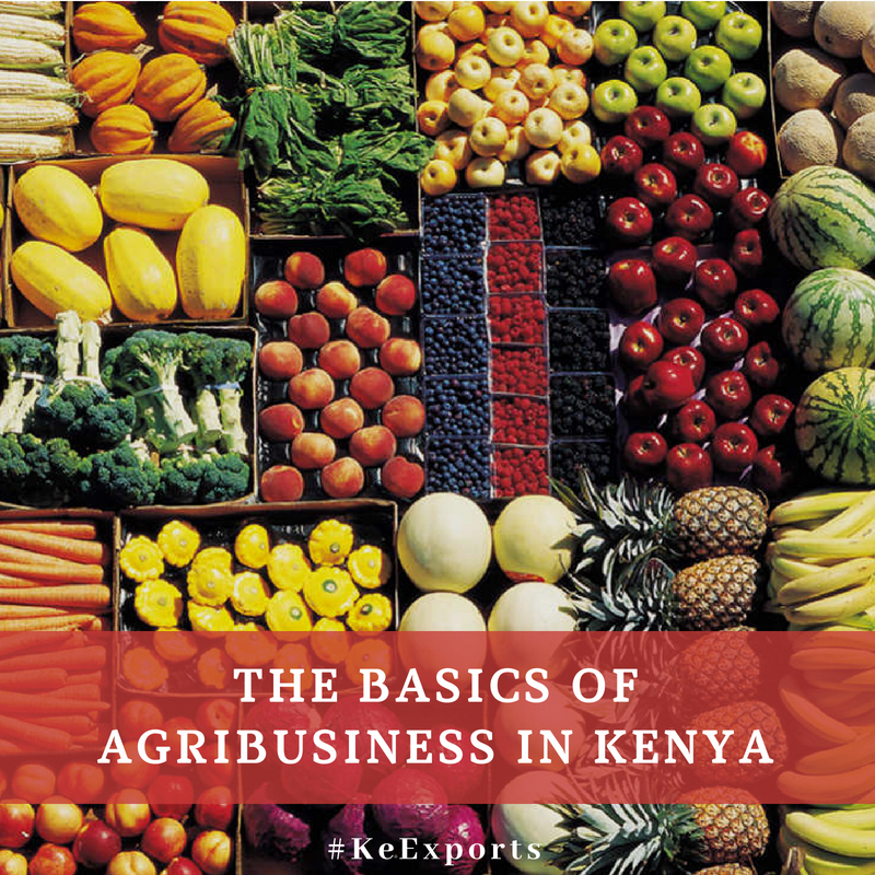 The basics of agribusiness in kenya