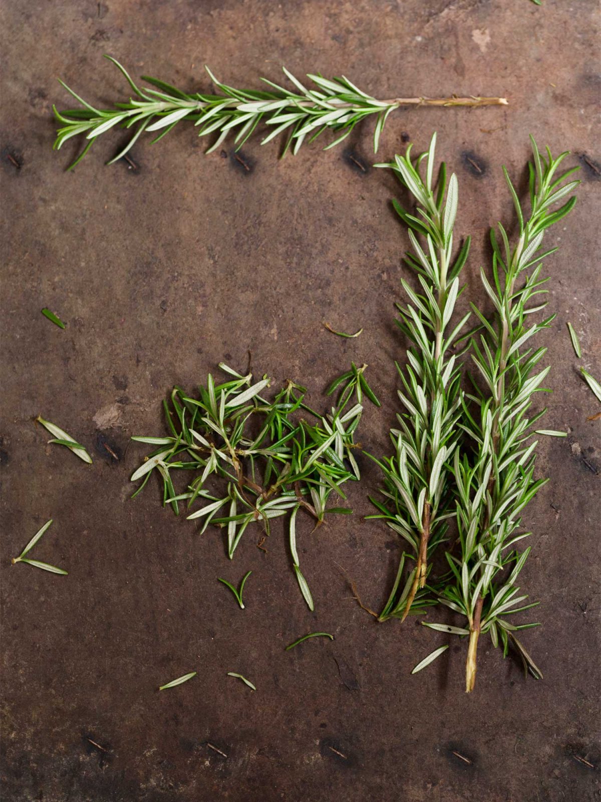 Rosemary, the herb, is among the top Kenyan exports