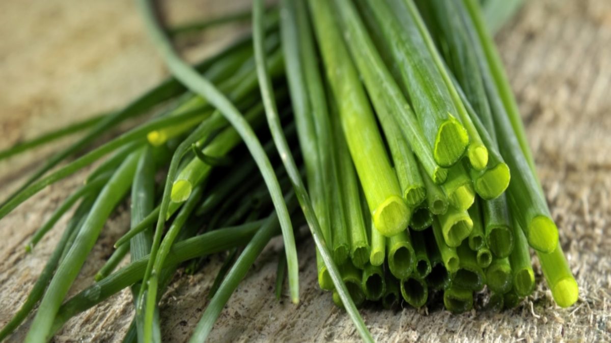 Chives, one of the top Kenyan exports
