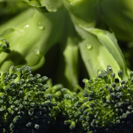 Broccoli, one of the top Kenyan exports