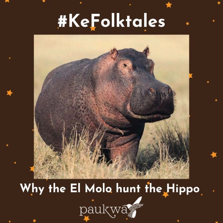 Why the El Molo