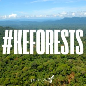 #KeForests