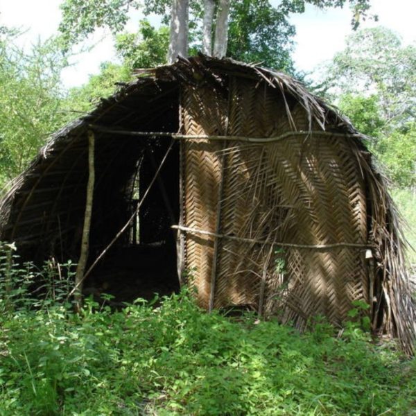 Mijikenda Kayas