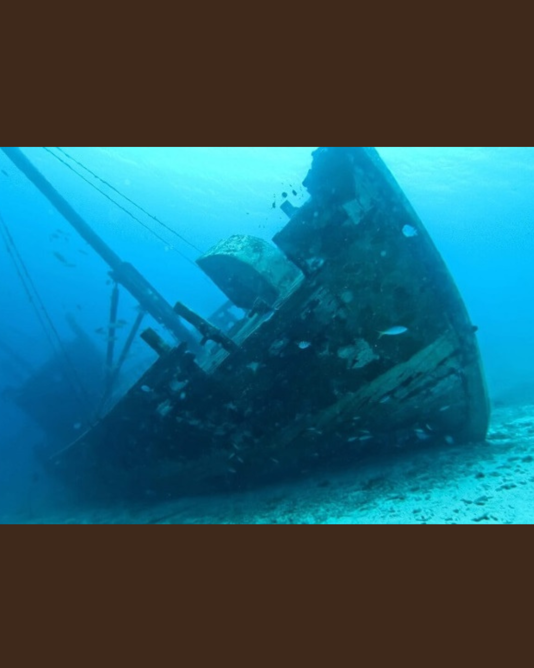 Ngomeni Shipwreck