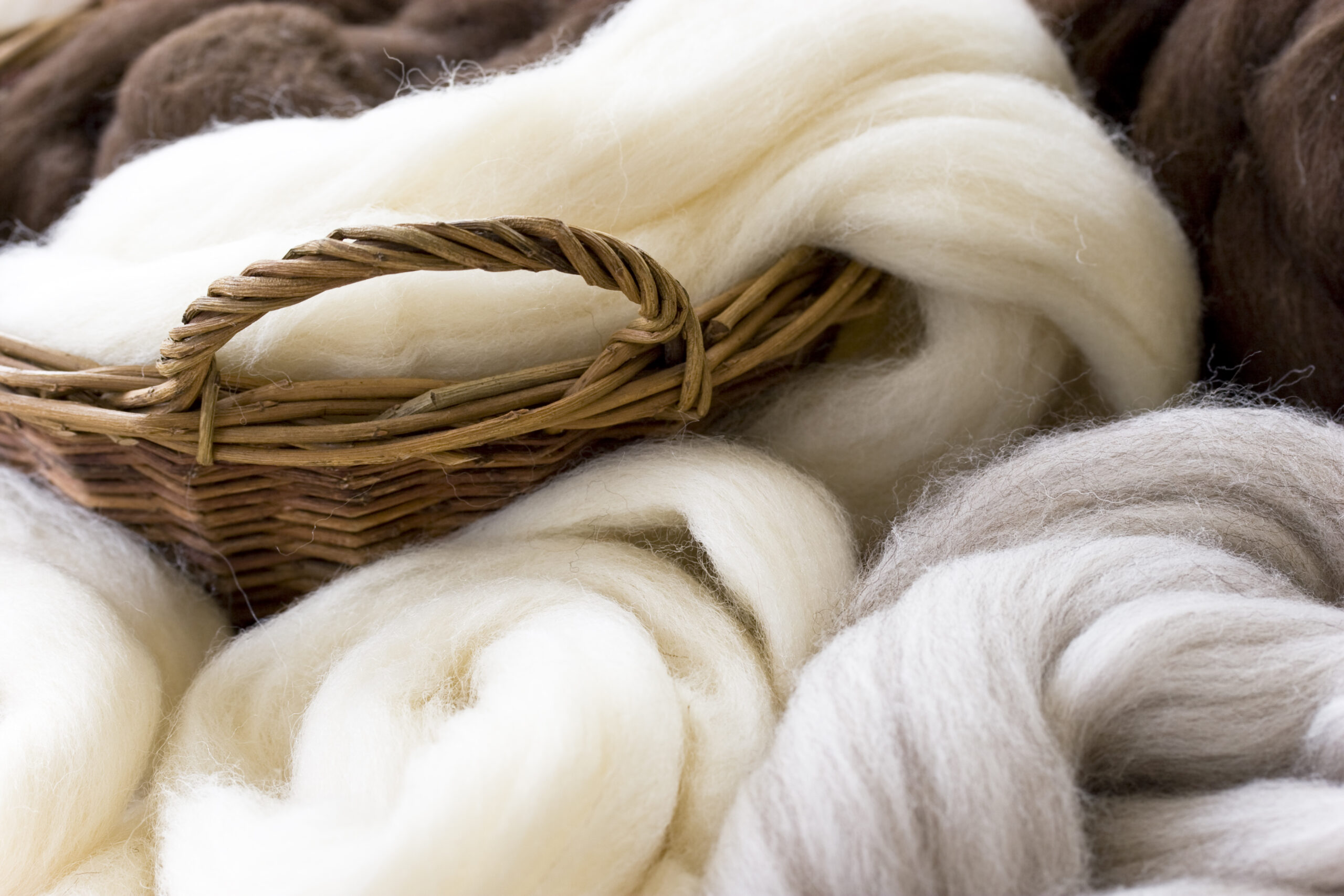 Natural wool fibres in basket