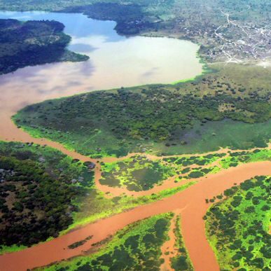 Aerial view of Tana River